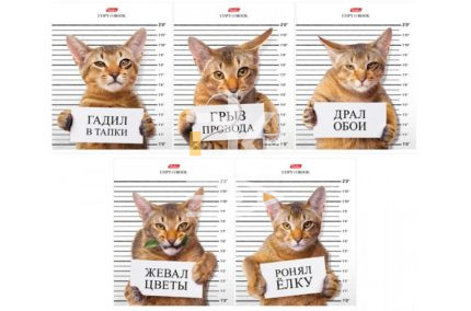Тетрадь 48л., клетка Hatber "Кот обормот" 1/10