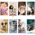 Блокнот, А6, 24л., обл. мягкая, на скрепке, ArtSpace "Cute animals"