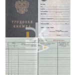Трудовая книжка РФ (7 серия)