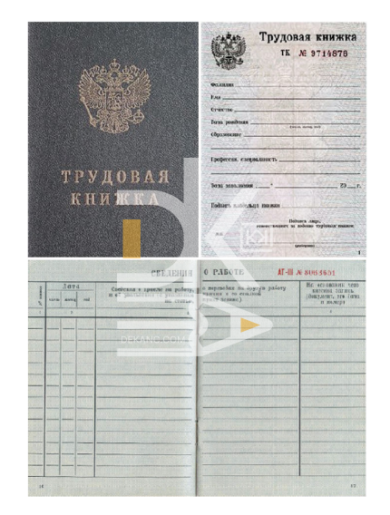 Трудовая книжка РФ (7 серия)