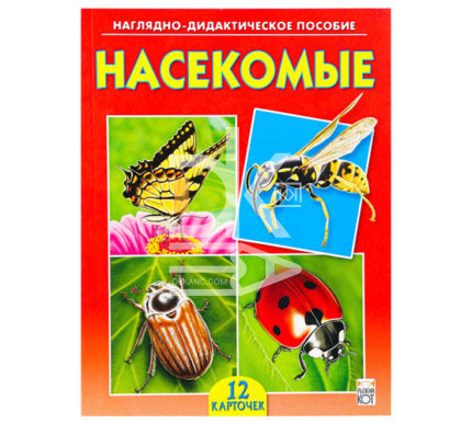 Дидактическое пособие "Насекомые" Рыжий кот