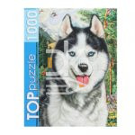 Пазл 1000 эл. Рыжий кот "Портрет хаски" TOP 685*485мм