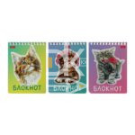 Блокнот, А6, 40л., обл. мягкая, на гребне, Hatber "Котики бывают разными" УФ-лак