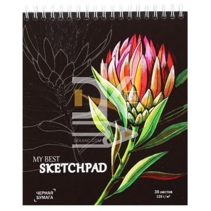Скетчбук А5, 30л, Феникс "Красный цветок ", тверд. подл., на гребне, 120г/м2, черные листы
