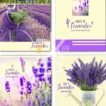 Тетрадь 48л., линия BG/БиДжи "Lavendeer",  1/8