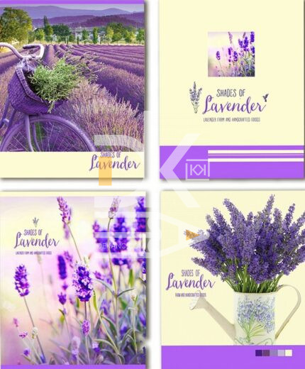Тетрадь 48л., линия BG/БиДжи "Lavendeer",  1/8
