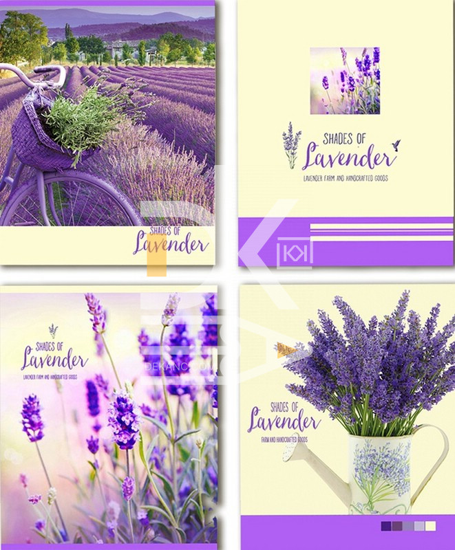 Тетрадь 48л., линия BG/БиДжи "Lavendeer", 1/8 Тетрадь 48л., линия BG/БиДжи "Lavendeer", 1/8