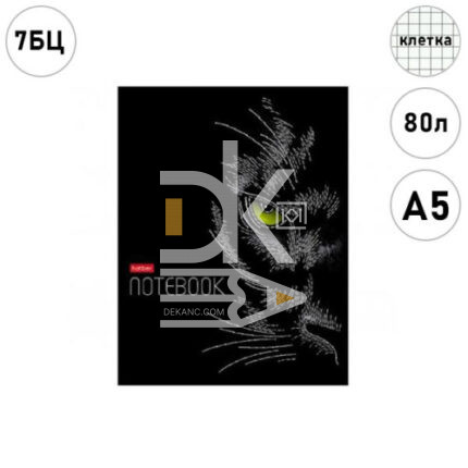 Блокнот, А5, 80л., обл. тверд., на сшивке 7БЦ, цветной блок, Hatber "Black Cat"