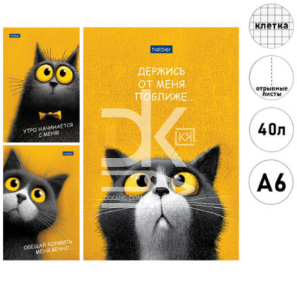 Блокнот, А6, 40л.мягк. обл., на склейке, Hatber "Пушистый философ"