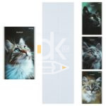 Блокнот, А6, 24л., обл. мягкая, на скрепке, Проф-Пресс "Портретные фото котов - 3", ассорти