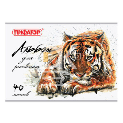 Альбом для рисования 40л., скрепка ПИФАГОР "Нежность"