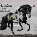 Альбом для рисования 40л., скрепка Asmar "Лошадь"