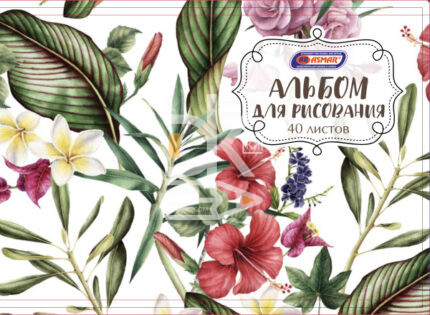 Альбом для рисования 40л., скрепка Asmar "Цветочная фантазия"