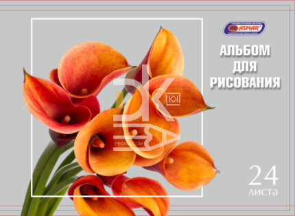 Альбом для рисования 24л., скрепка Asmar "Оранжевый букет"